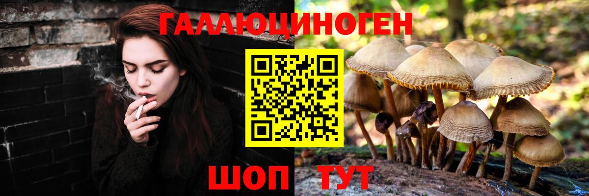 Горно-Алтайск  Псилоцибиновые грибы ЛСД  Вход с VPN  Галлюциногенные грибы Cubensis 